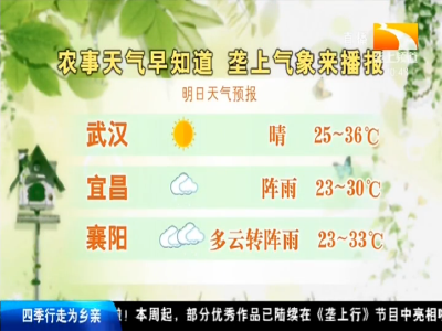 垄上气象站 2019-09-10