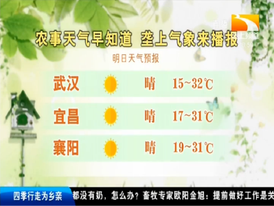 垄上气象站 2019-09-26