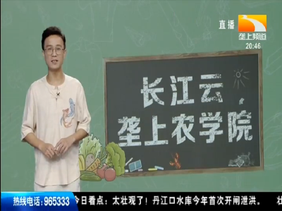 长江云-垄上农学院 2019-09-16-白鲢鱼身上长红斑怎么治疗？
