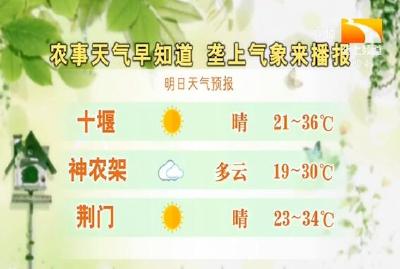 垄上气象站 2019-09-07