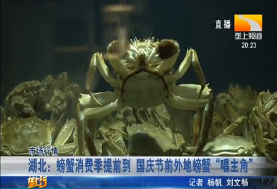 湖北：螃蟹消费季提前到 国庆节前外地螃蟹“唱主角”