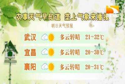 垄上气象站 2019-09-03