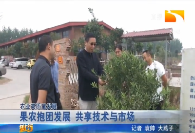 果农抱团发展 共享技术与市场