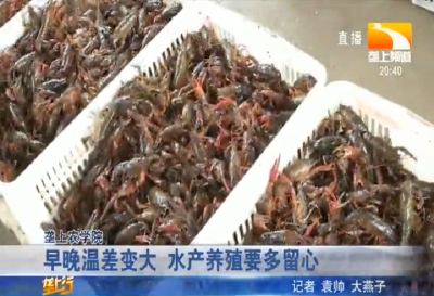 早晚温差变大 水产养殖要多留心
