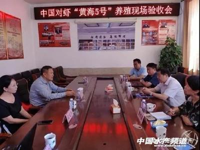 中国对虾"黄海5号"养殖通过专家现场验收