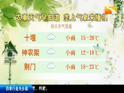 垄上气象站 2019-10-09