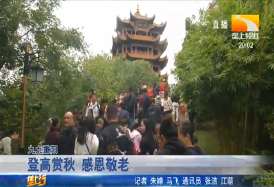 登高赏秋 感恩敬老