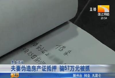 夫妻伪造房产证抵押 骗57万元被抓