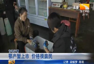 鄂产蟹上市 价格很亲民