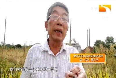 第一书记的“丰收”日记