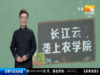 长江云-垄上农学院 2019-10-14