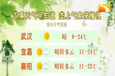 垄上气象站 2019-10-28