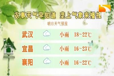 垄上气象站 2019-10-10