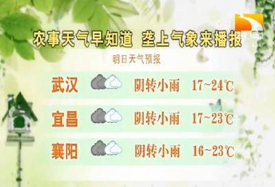 垄上气象站 2019-10-12