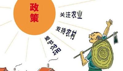 荆州发布促进农民增收21条措施 涉及这些方面……