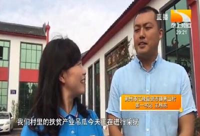 第一书记的“丰收”日记