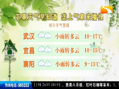 垄上气象站 2019-10-15