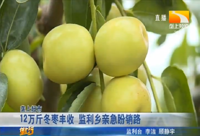 12万斤冬枣丰收 监利乡亲急盼销路