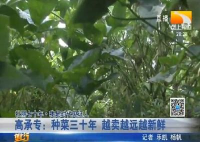 高承专：种菜三十年 越卖越远越新鲜