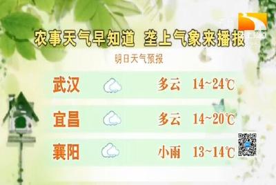 垄上气象站 2019-10-05