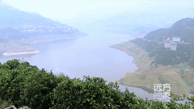 重磅！央视《远方的家》今起聚焦宜昌！ 