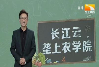 垄上农学院10-23