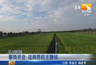 顺势而变 这样养虾才赚钱