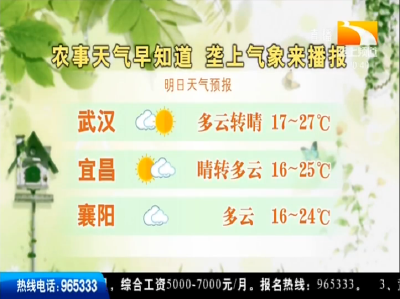 垄上气象站 2019-10-08
