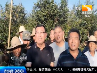 第一书记的“丰收”日记 