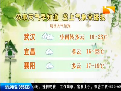 垄上气象站 2019-10-11
