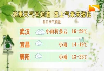 垄上气象站 2019-10-04