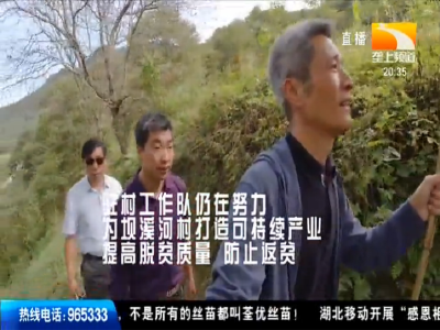 第一书记的“丰收”日记