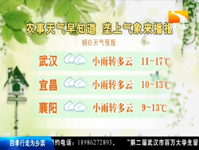 垄上气象站 2019-10-14