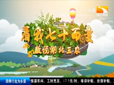 数说湖北三农 2019-10-11