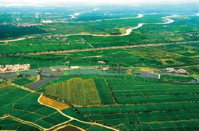荆州区太湖农场获领首张国有农用地“身份证”