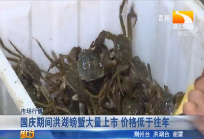 国庆期间洪湖螃蟹大量上市 价格低于往年