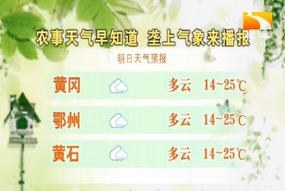 垄上气象站 2019-10-23