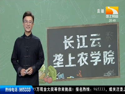 长江云-垄上农学院 2019-10-11