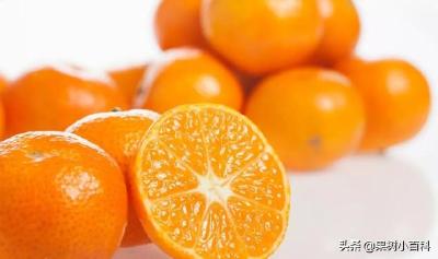 【柑橘】金秋沙糖桔争议大，沙糖桔种植前景如何选取？