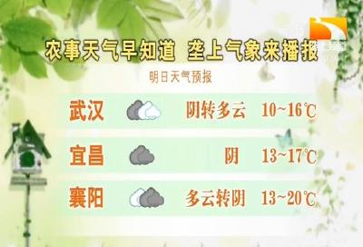 垄上气象站 2019-10-26
