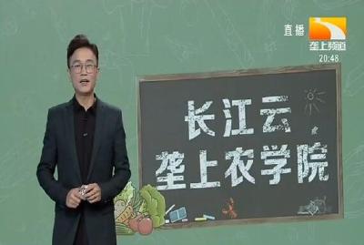 垄上农学院 2019-10-28