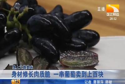 身材修长肉质脆 一串葡萄卖到上百块