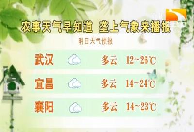 垄上气象站 2019-10-19