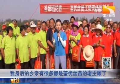 荃优丝苗江陵现场收割会