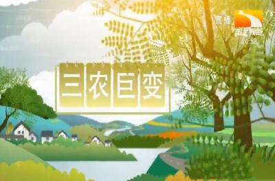 数说湖北三农 2019-10-21