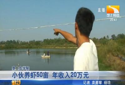小伙养虾50亩 年收入20万元