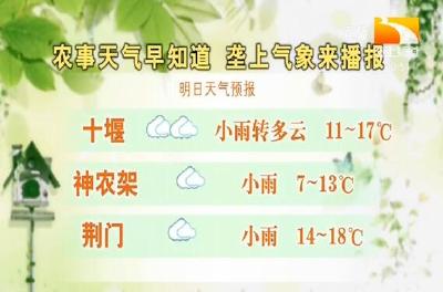 垄上气象站 2019-10-21