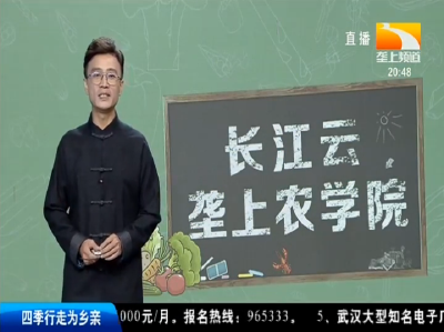 长江云-垄上农学院 2019-10-09
