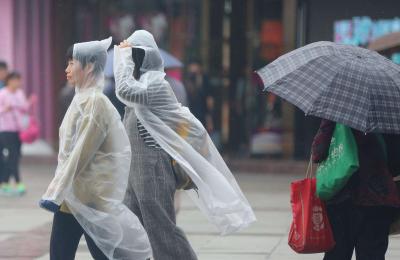 最低8℃！湖北开启大风降雨降温 旱情缓解