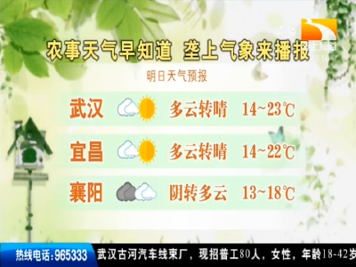 垄上气象站 2019-10-07